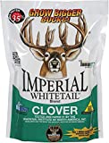 Whitetail InstituteÂ Imperial Whitetail Clover 18 - lb. Bag